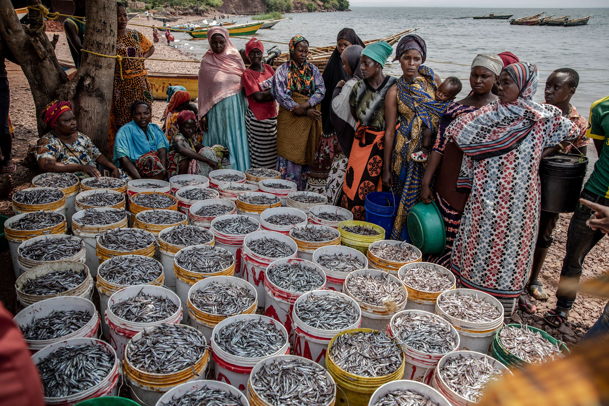 Tanzanian fish market image credit FAO Luis Tato
