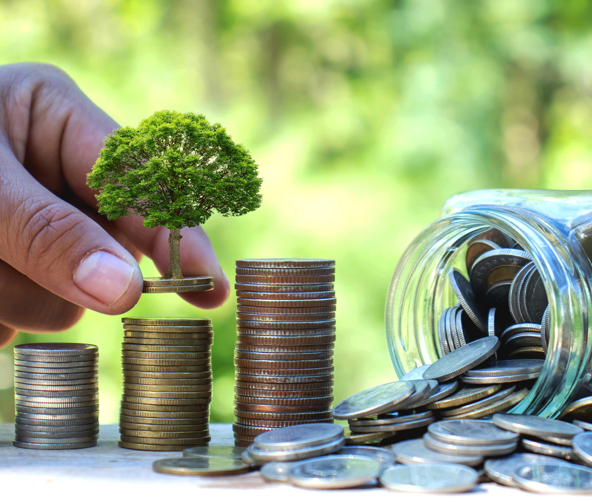 Planting trees and generating money. Image credit Shutterstock/Mee Ko Dong